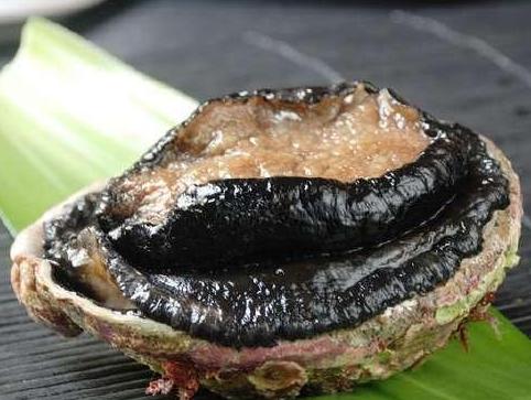 世界上最贵的食材盘点视频,世界上十种最贵的食材