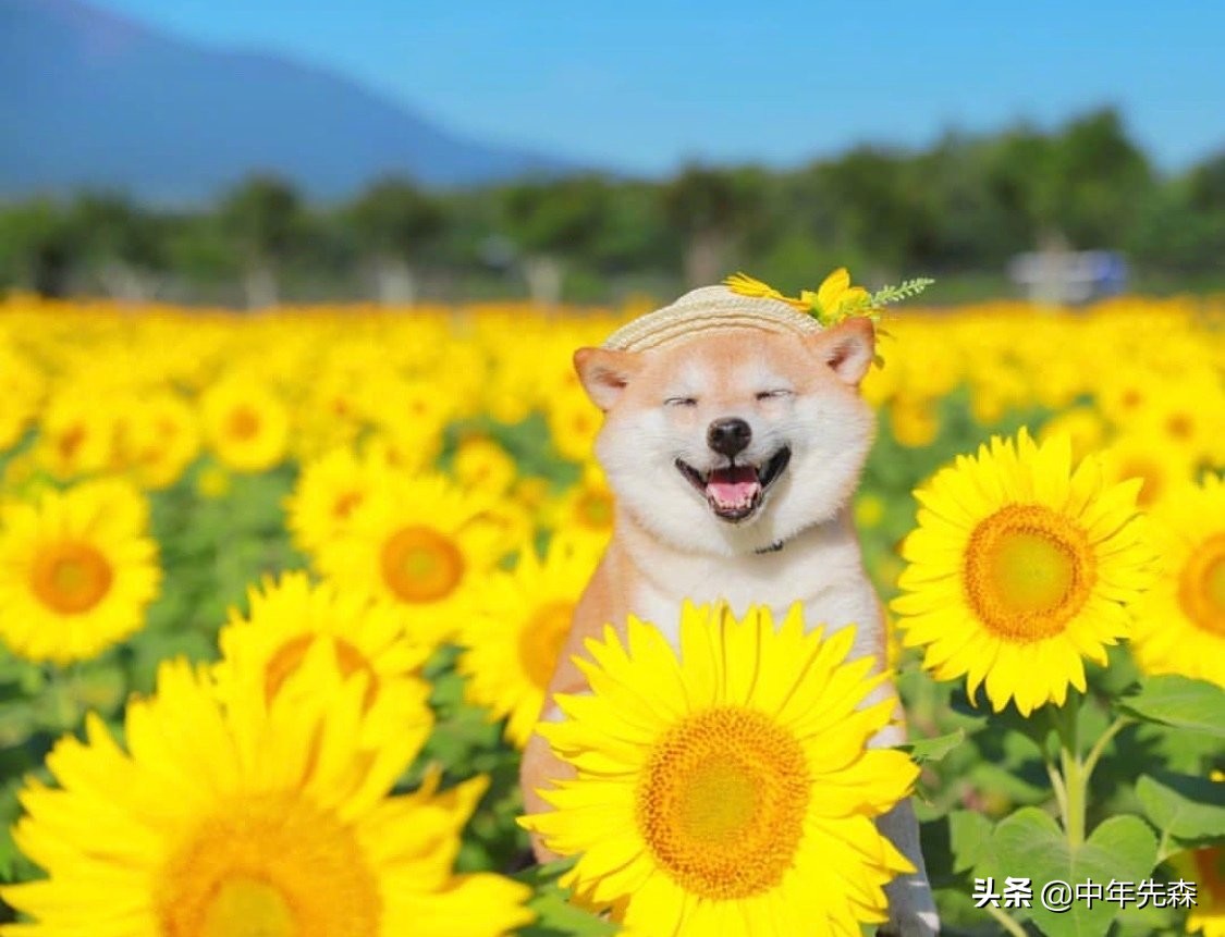 衡量一个人价值最高的指标,聪明人的重要参考指标