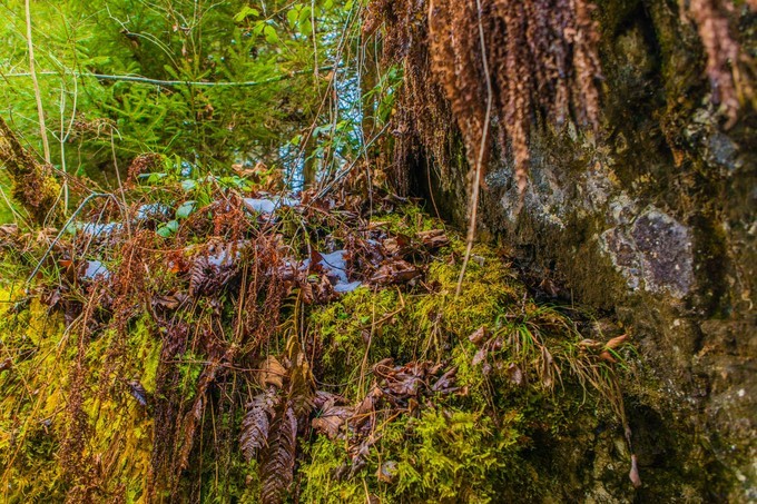 手把手教你玩转欧洲,年轻人第一次去欧洲的感受