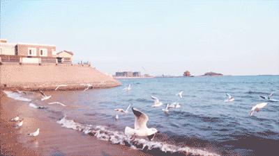 大连人为什么叫大连人,大连人是指哪里人