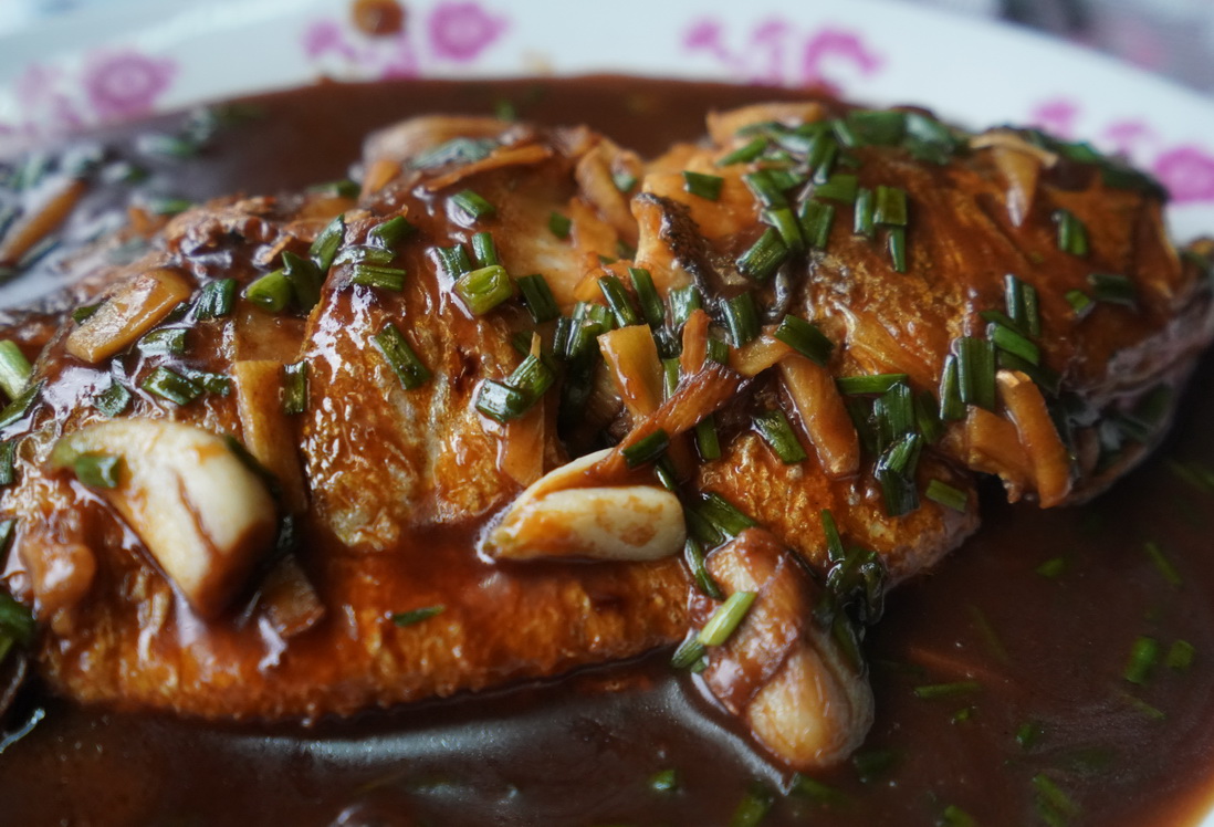 浙江桐乡：用四天品味26载沉淀情谊，程家的饭菜就是我最幸福时光