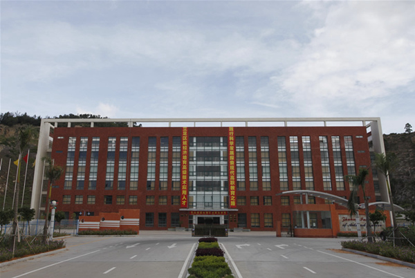 大湾区教育发展迎来哪些新机遇,走进大湾区感受新魅力