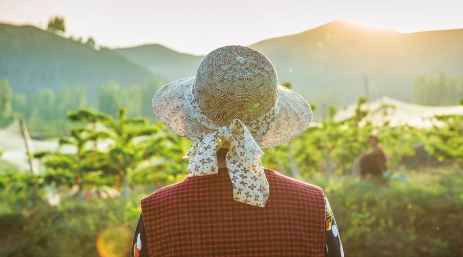 百果园是如何缔造水果王国,百果园是中国最大的水果专营公司