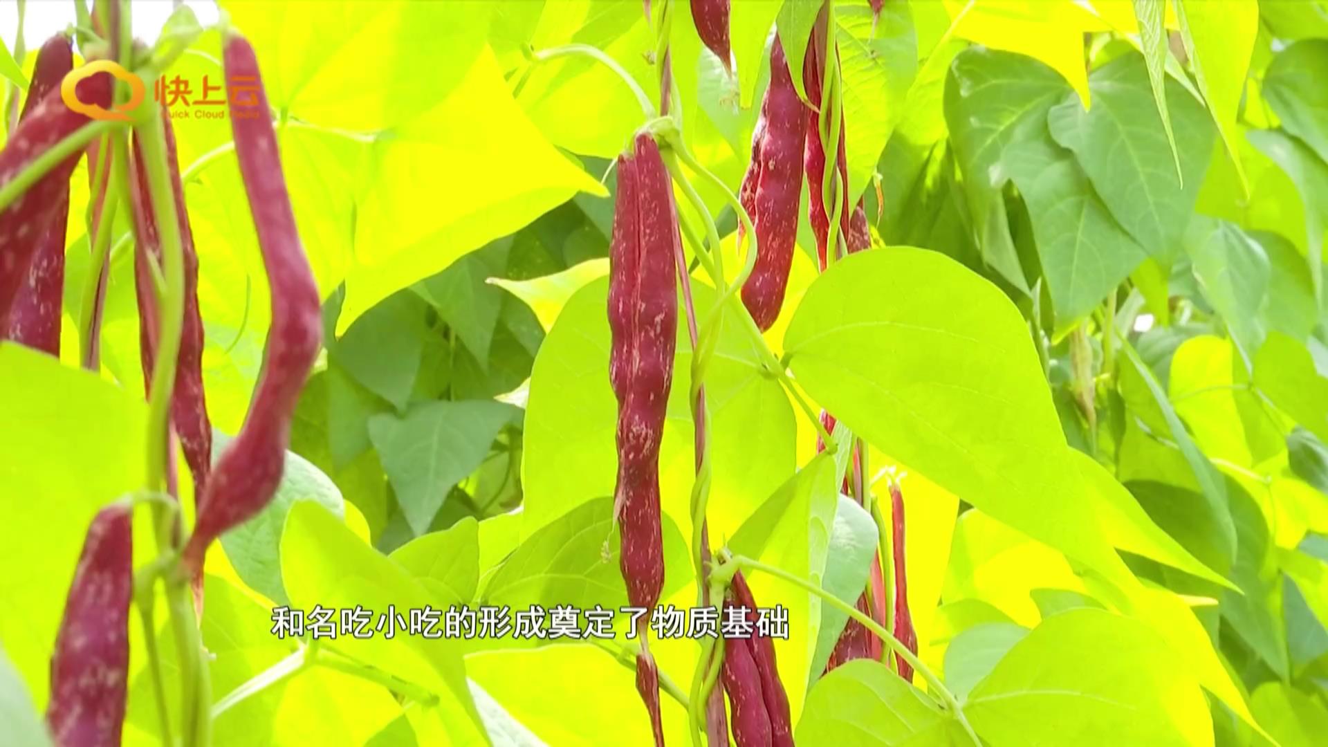 潍坊名小吃:舌尖上的潍坊记忆