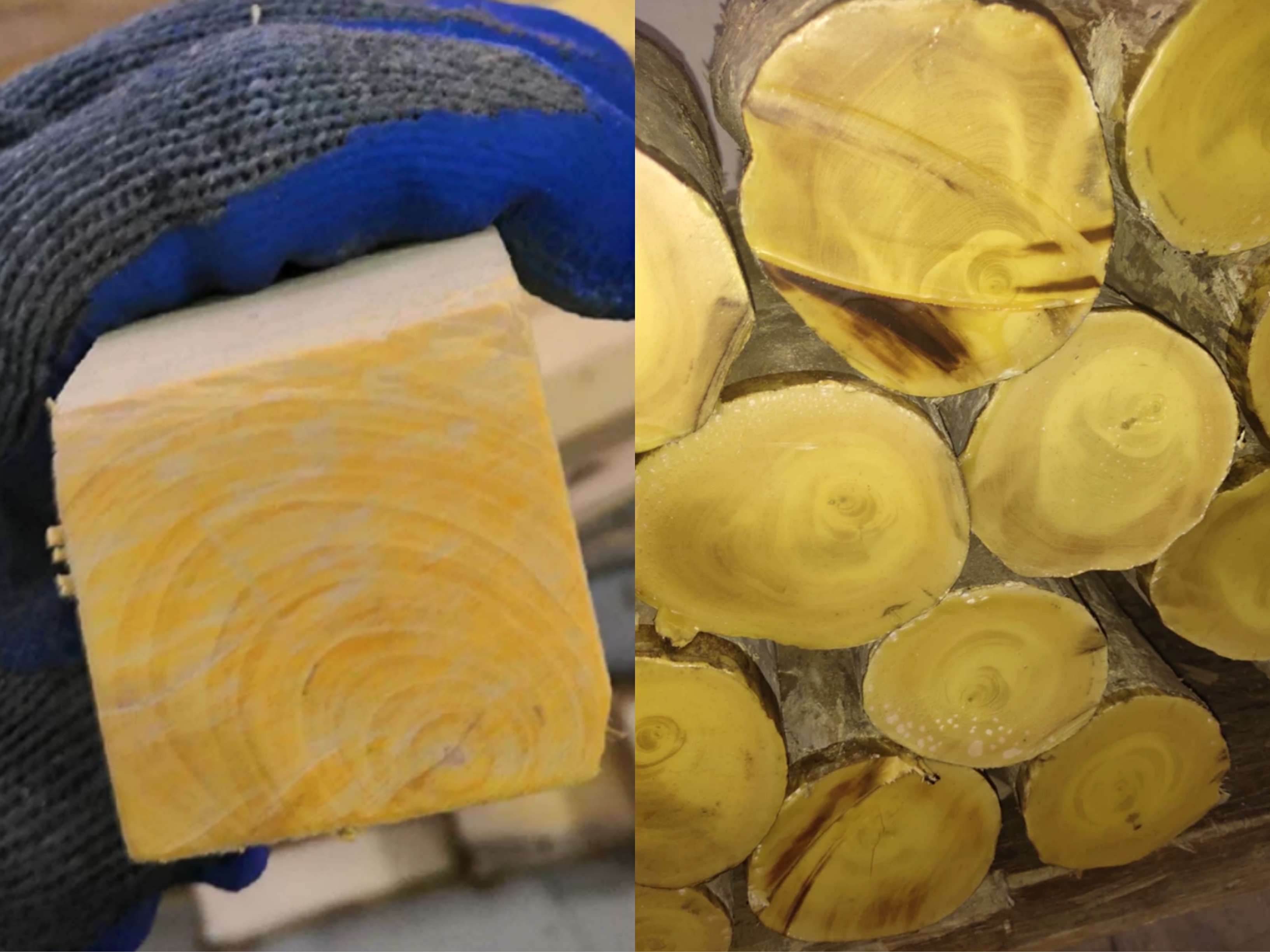 中国十大珍贵木材排行榜,中国十大珍贵木材