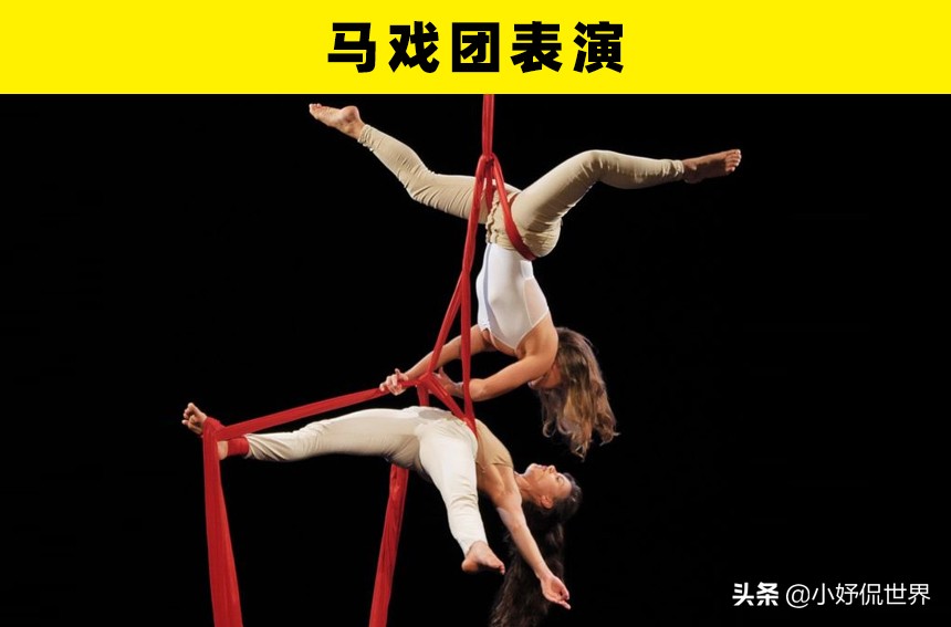 大学一共学多少门课程,大学有多少门课程