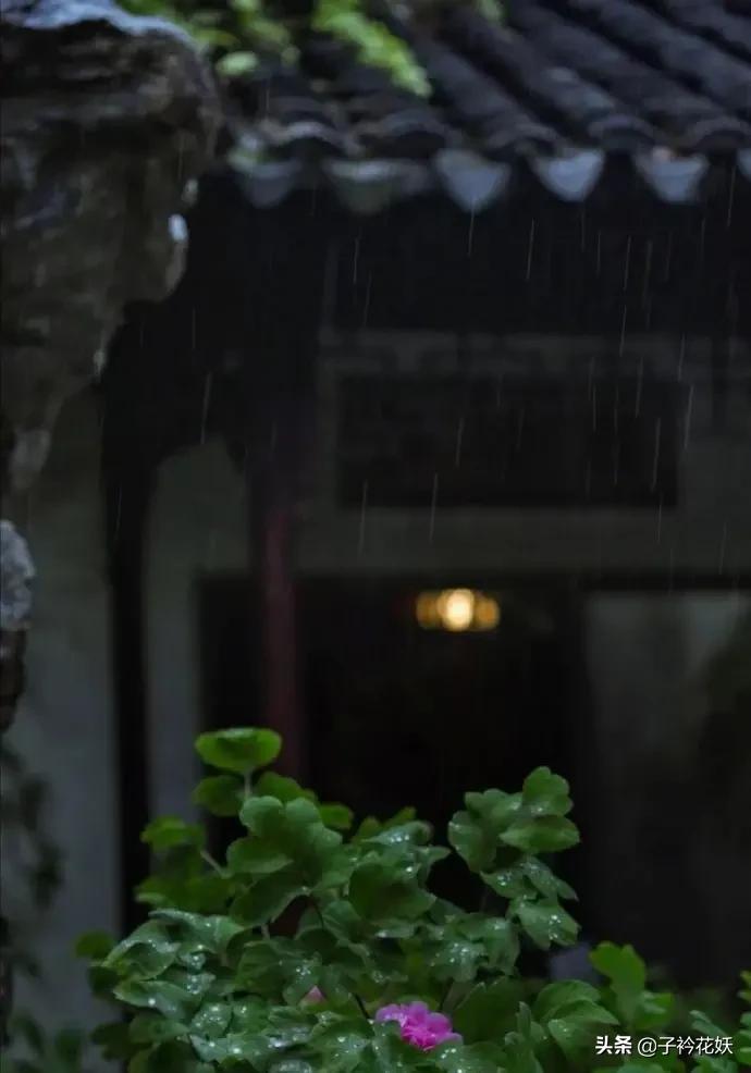 锦衣之下81集番外篇,锦衣之下番外吵架气走今夏