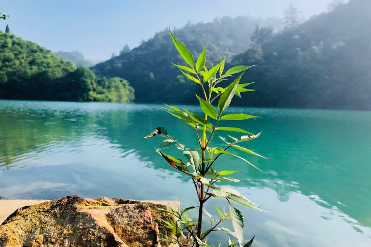 新昌穿岩十九峰农家乐住宿,绍兴穿岩十九峰风景区