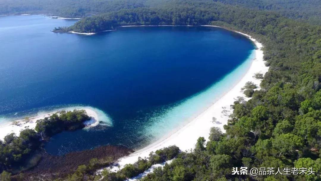 最新世界十大“怪”,最后一个太绝了!