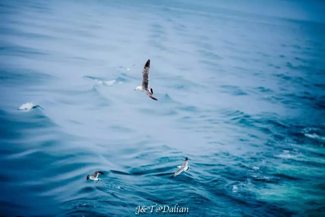小众海岛旅游攻略推荐,值得去的海岛推荐