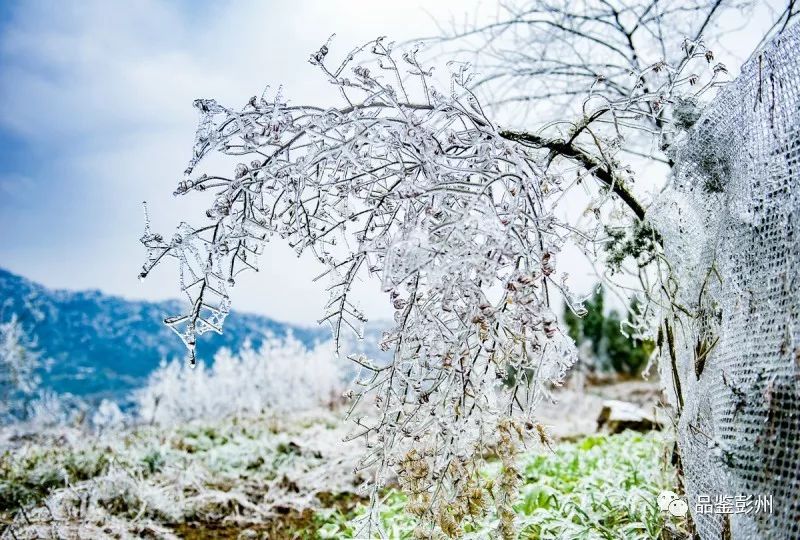 来彭州带你看海,冬天的彭州
