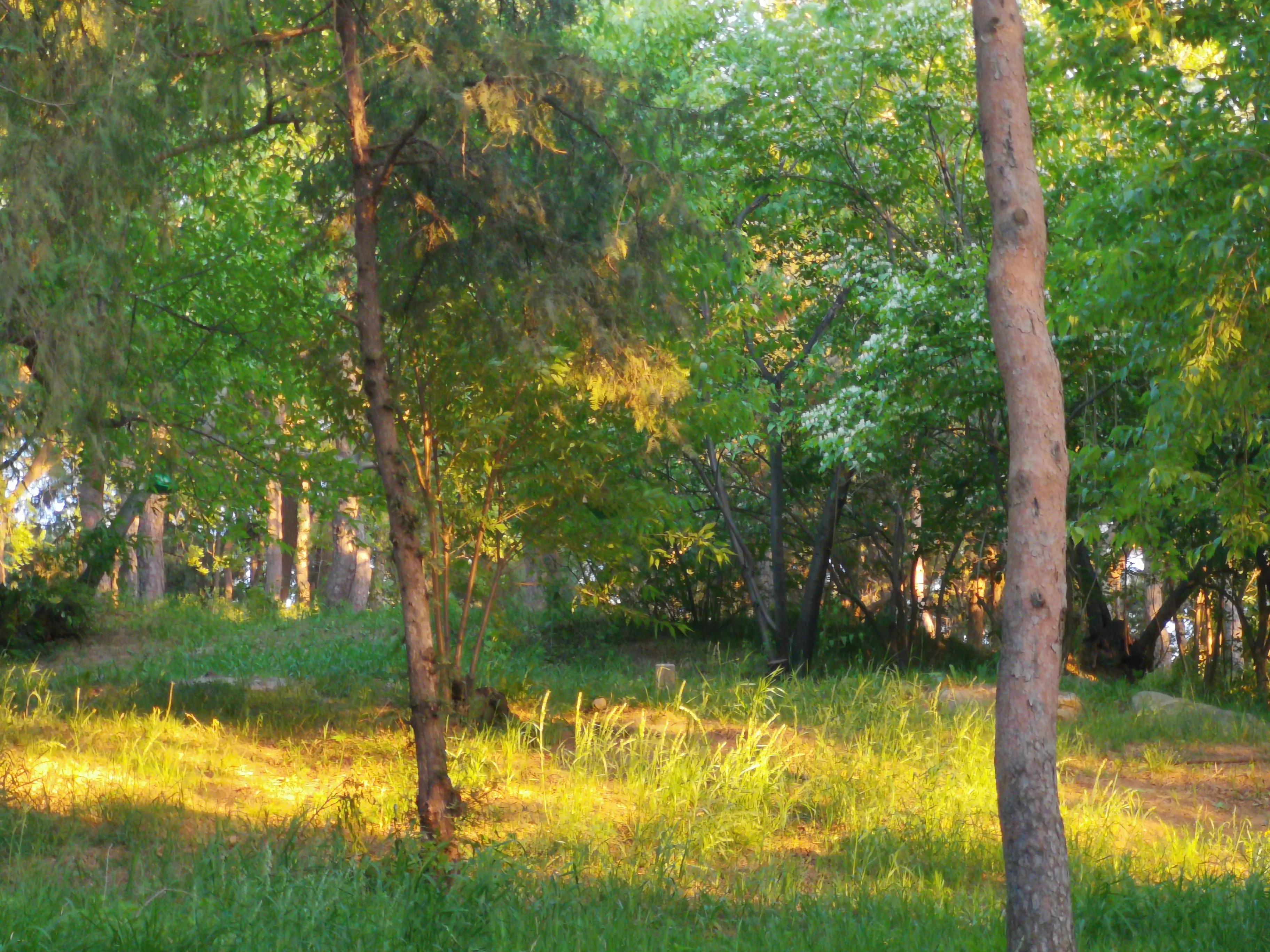 灏戒韩浜斾竴鍋囨湡,灏戒韩浜斾竴
