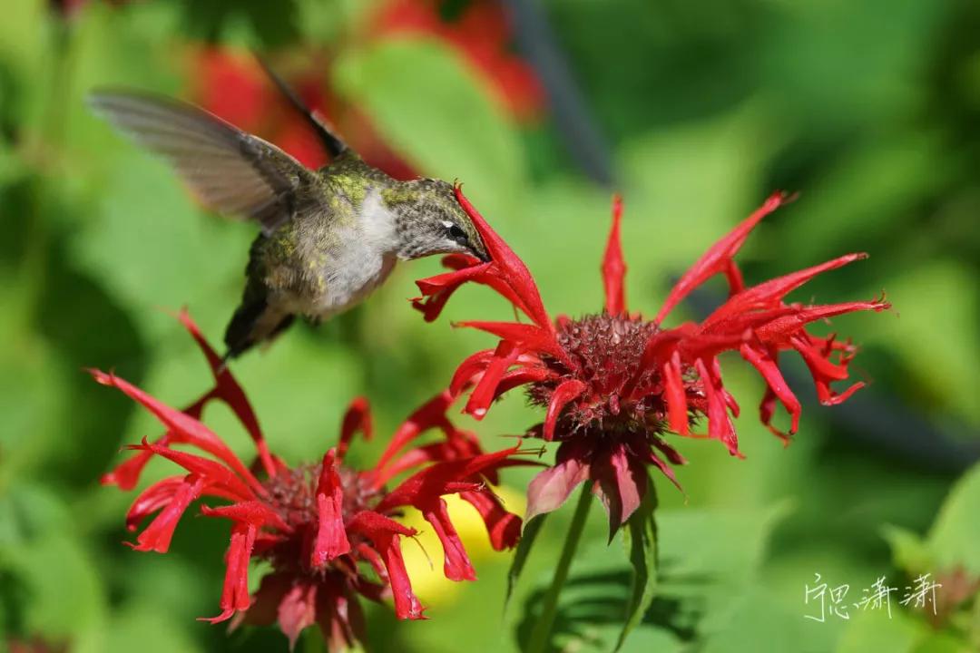 6个标准训练你成为强者,6个高效训练动作