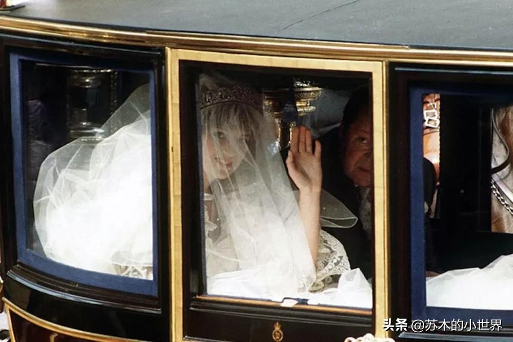 我想把“月亮、星辰、山川和竹林都穿在身上”