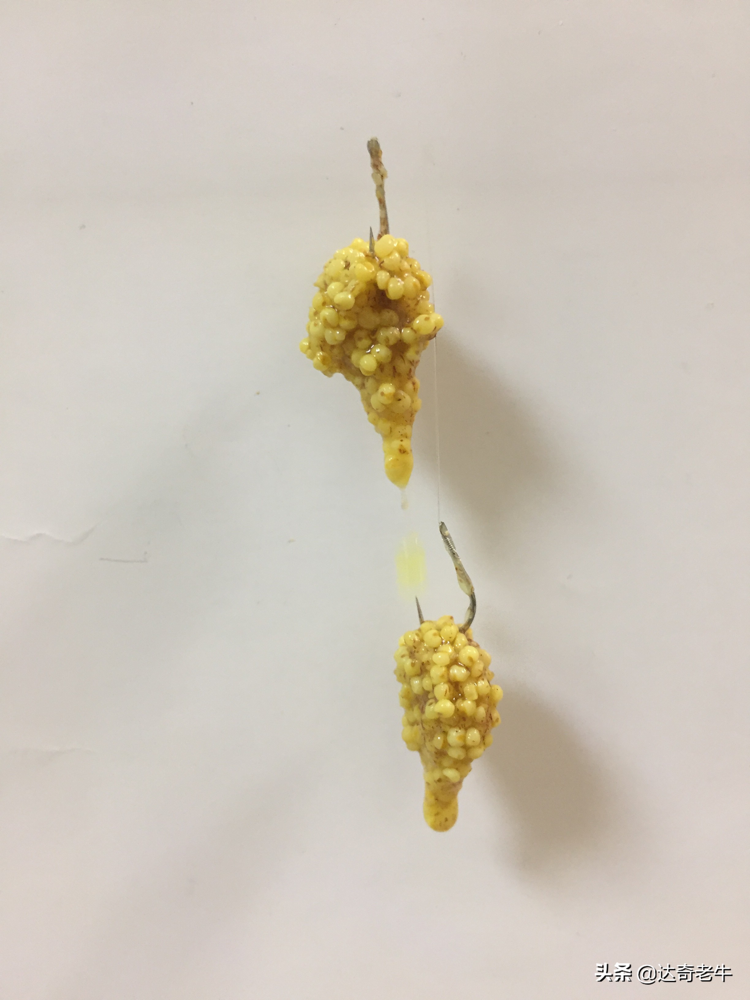 钓鱼界的四款神饵,近期风靡钓鱼圈的饵料