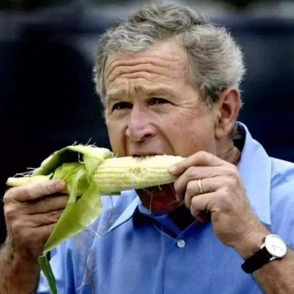 非转基因水果玉米即食,牛奶爆汁玉米是转基因吗