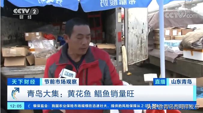 天下财经今日聚焦直播,中央电视台天下财经直播