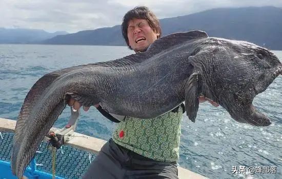 *污染核**有多恐怖？排放入海后海鲜销路难，日本政府拟花钱购买