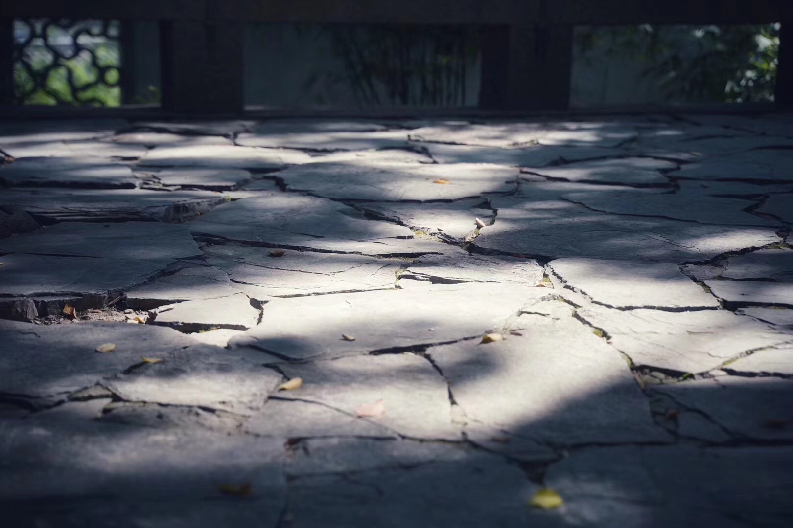 苏州一个很治愈的地方,累了就去这四个地方走走