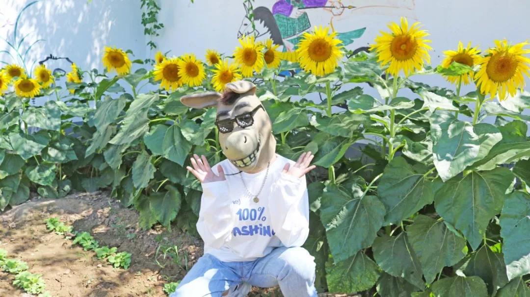 秋冬来袭！来碗养生汤！吃着鸽子喝着汤！请客有面子就到鸽子王