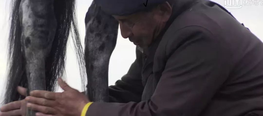 天山脚下纪录片,天山脚下纪录片完整版