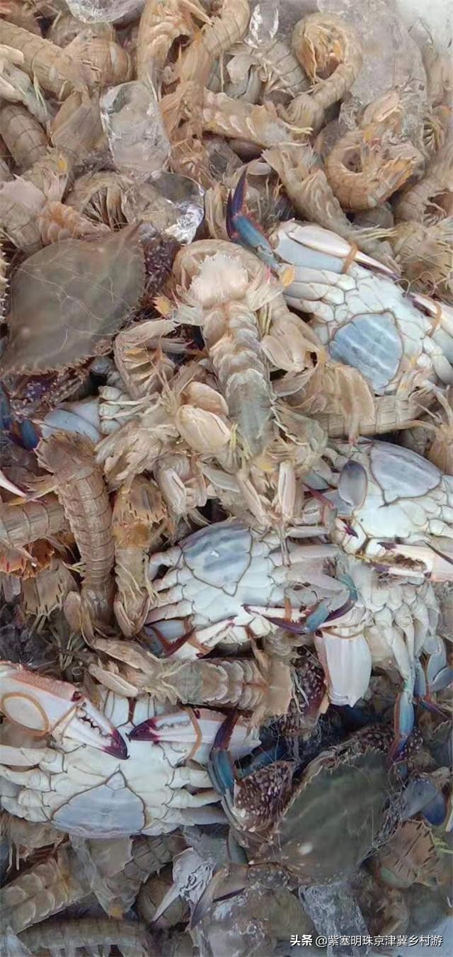 唐山乐亭旅游攻略一日游多少钱,唐山旅游乐亭祥云岛景点大全