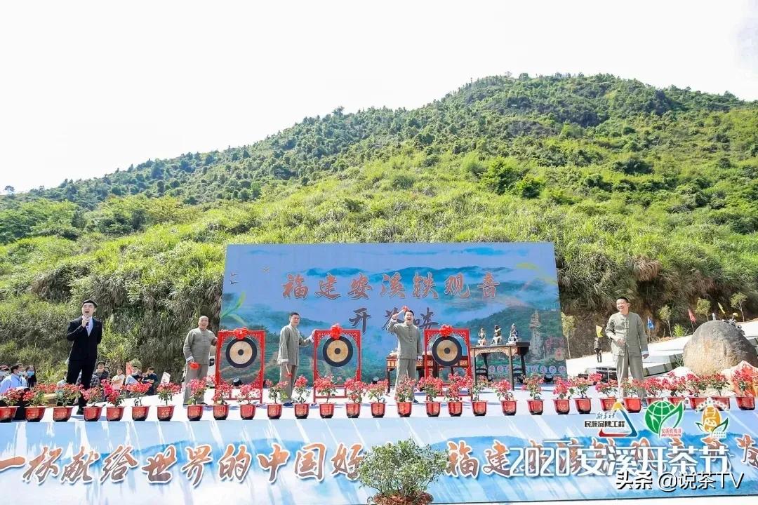 第四届安溪铁观音大师赛决赛结果,安溪铁观音茶王赛举行