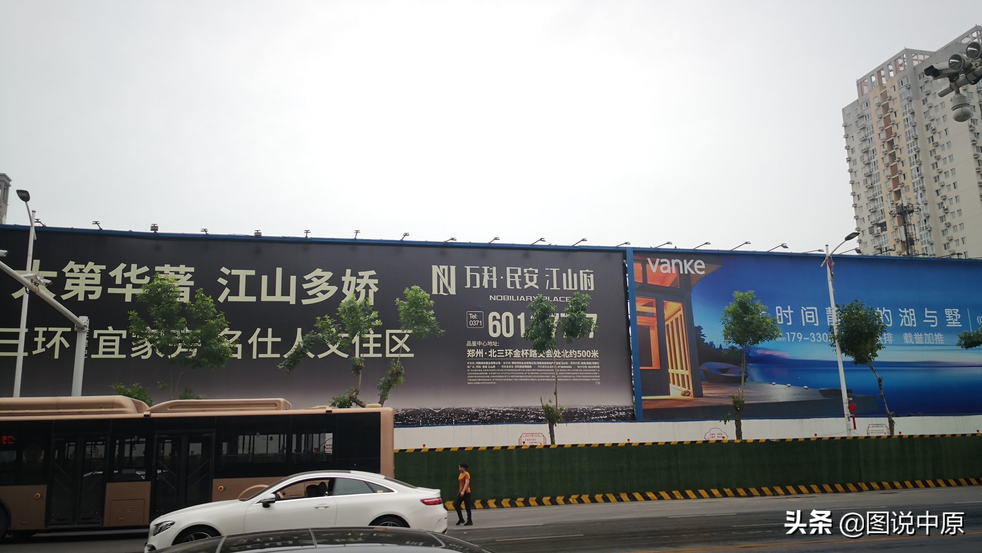 郑州26棵行道树被剃光,郑州通报行道树毁坏事件