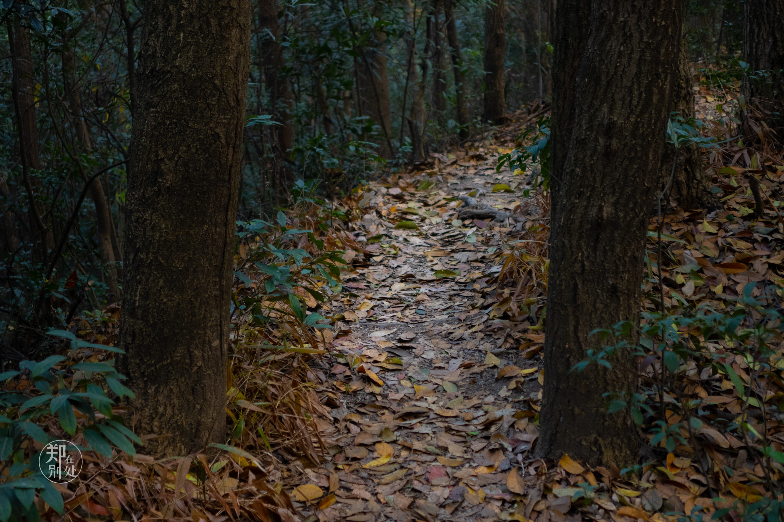 杭州登山徒步经典路线图最新,杭州登山路线