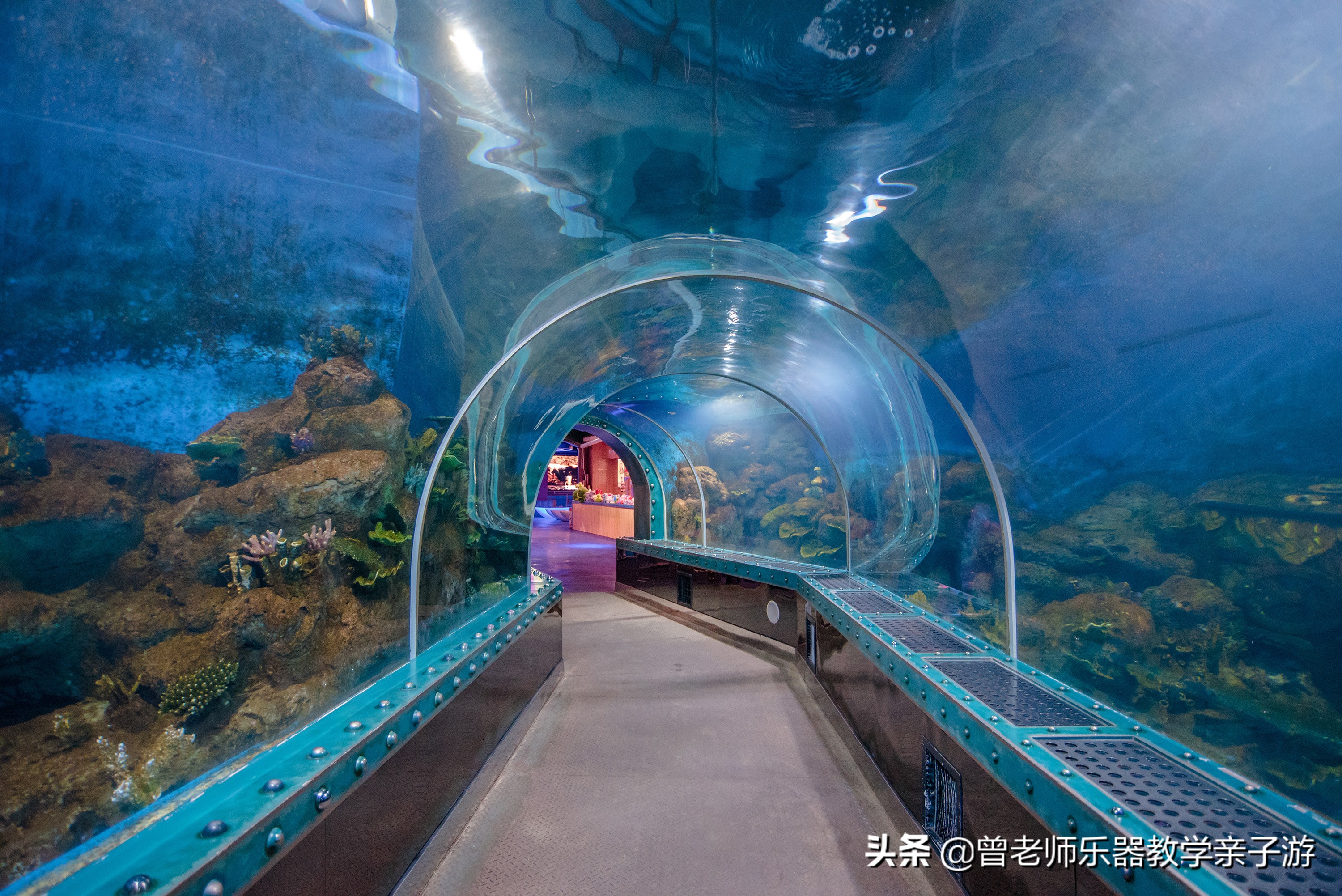 西安太奥海洋馆,西安极地海洋世界海豚表演