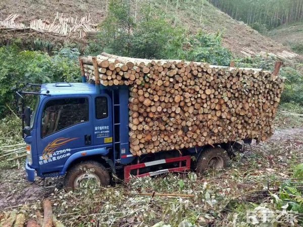 农机绿牌货车改蓝牌,绿牌农机换蓝牌