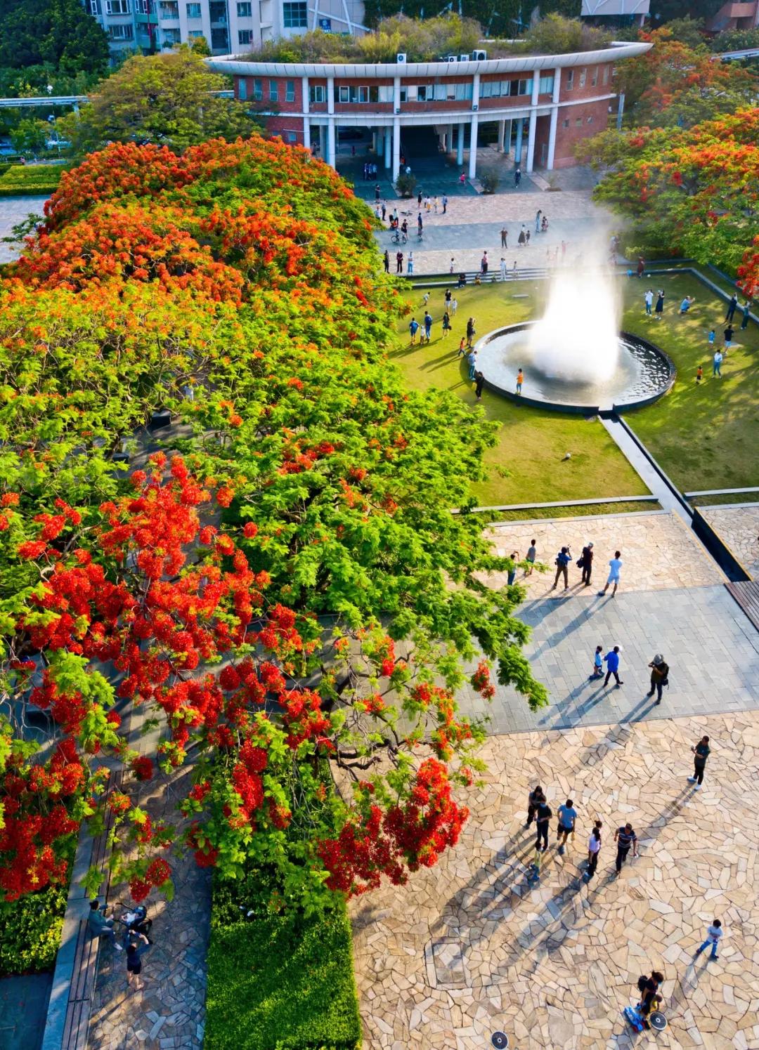 华侨城一期西区,华侨城发展历程