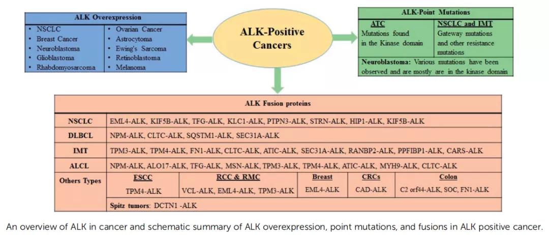 alk抑制剂alk是什么,alk抑制剂一二三代区别