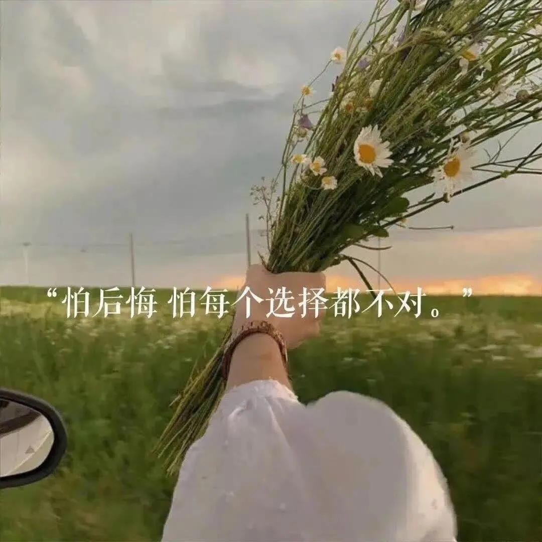 大自然治愈清新的背景图,文艺清新淡雅鲜花背景图