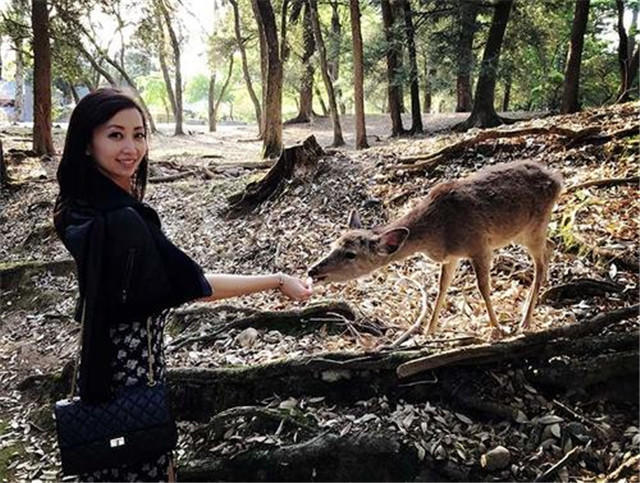 民国才女林徽因曾孙女,梁周洋谈曾祖母林徽因