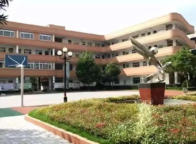 上海十大最好小学排行榜,上海各区体育特色学校