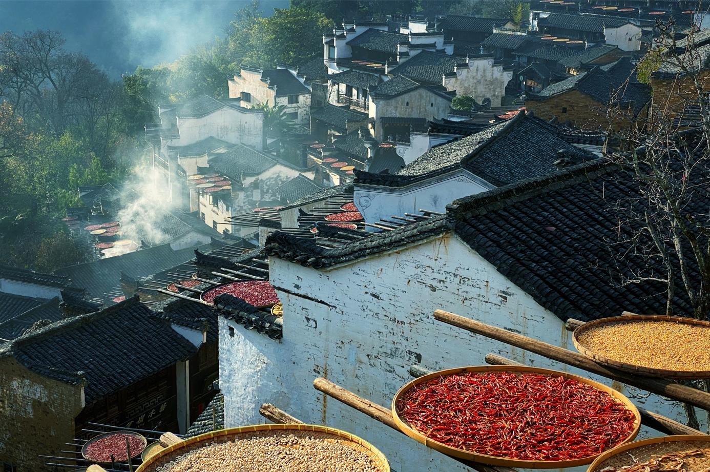 有哪些手机可以拍出高质量的照片,只要一部手机就能拍出高质量照片