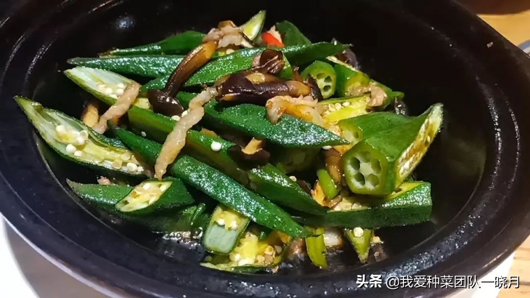 秋葵种植技巧和方法,秋葵出苗后多大可以移栽花盆里