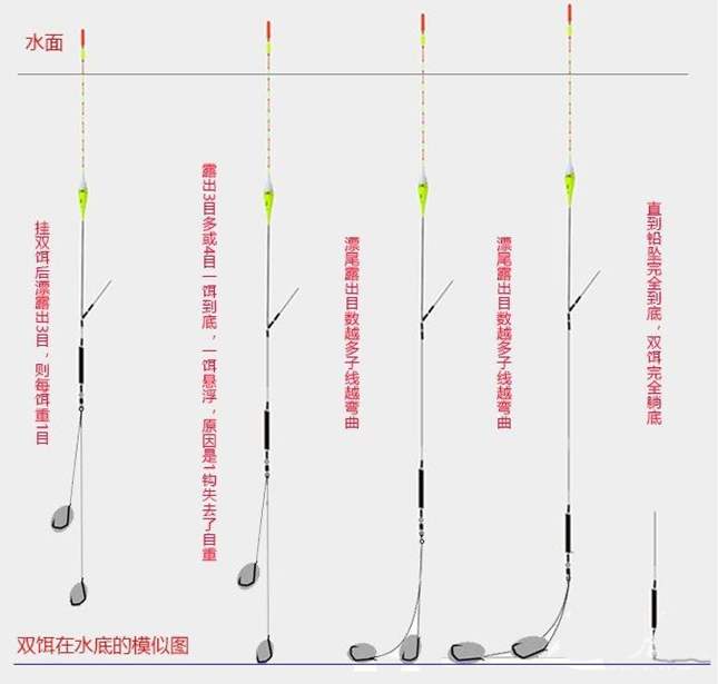 黑坑钓青鱼视频大全,黑坑珠珠钓青鱼技巧