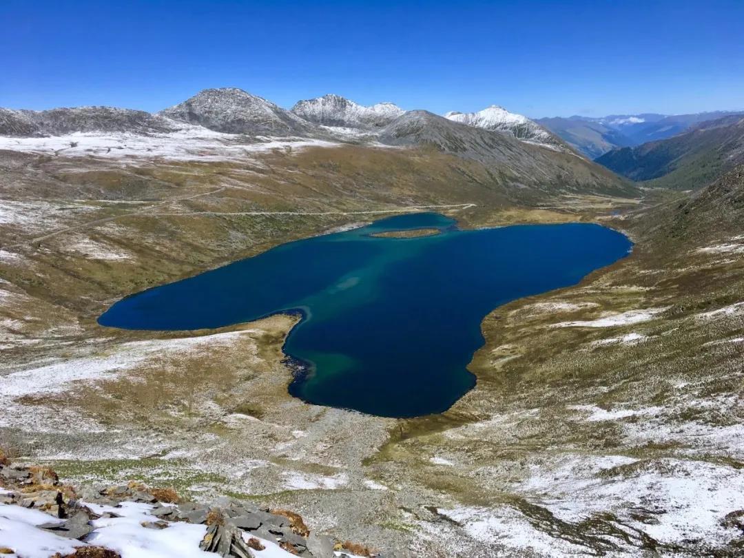 金川情人海有没有蓝冰,蓝冰情人海图片