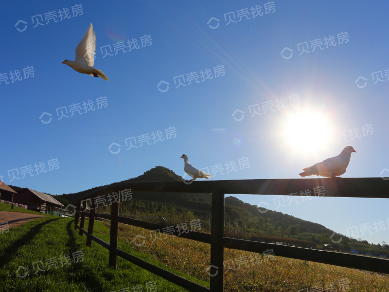 旅顺亿达云山府为什么便宜,大连亿达云山府值得买吗