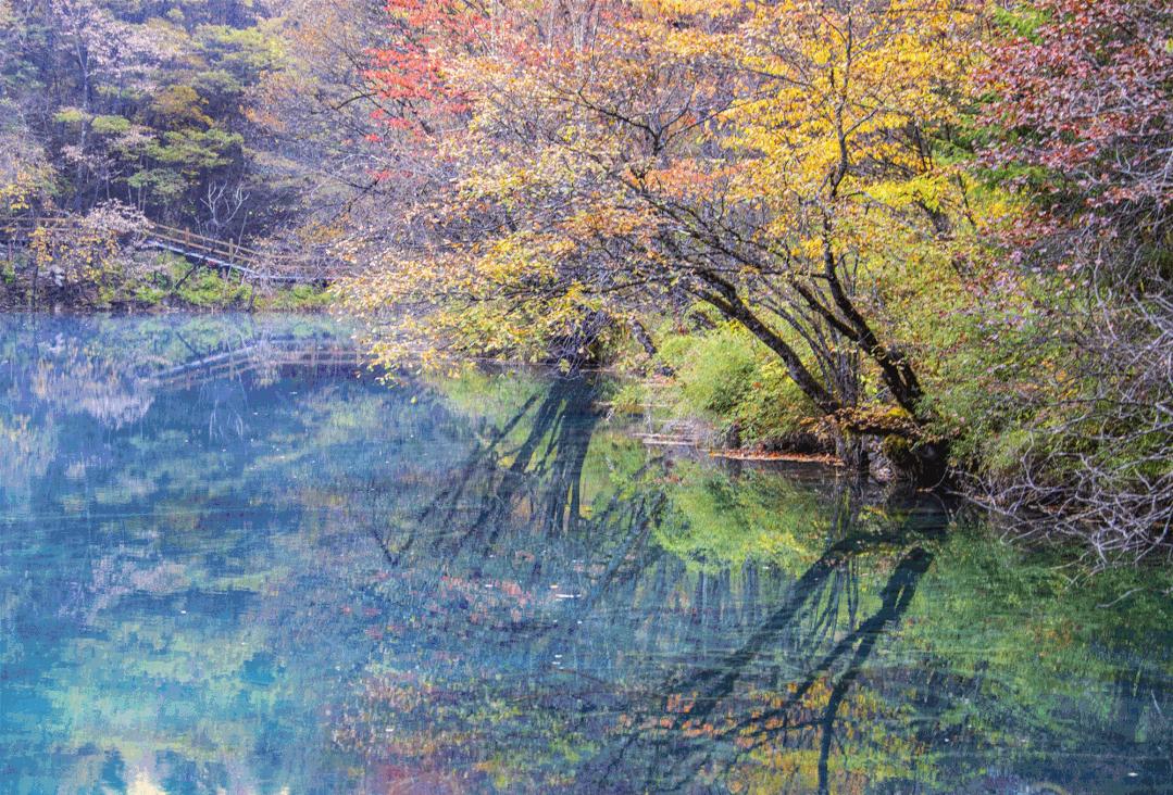 九寨更迷人,神奇的九寨景色迷人惹人醉