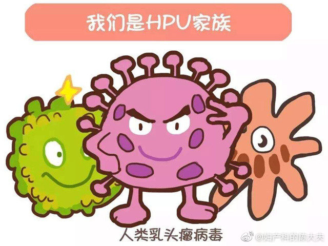 为什么说检测低危型HPV没有意义？低危型HPV阳性是否＝尖锐湿疣？