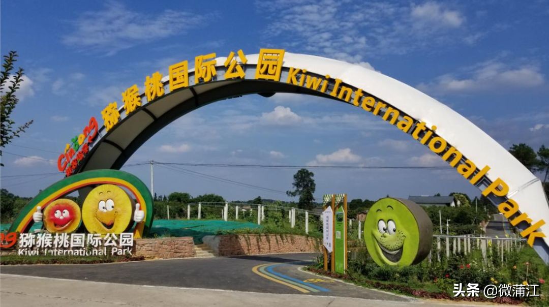 探访深山竹林倍感神清气爽,蒲江遥望雪山感受诗意栖居