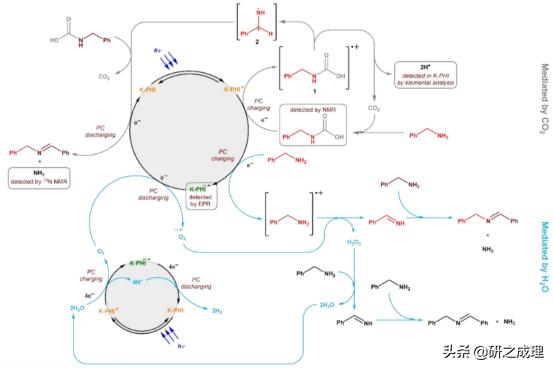 鍌寲鍛ㄦ姤,鍌寲蹇姤鏈熷垔
