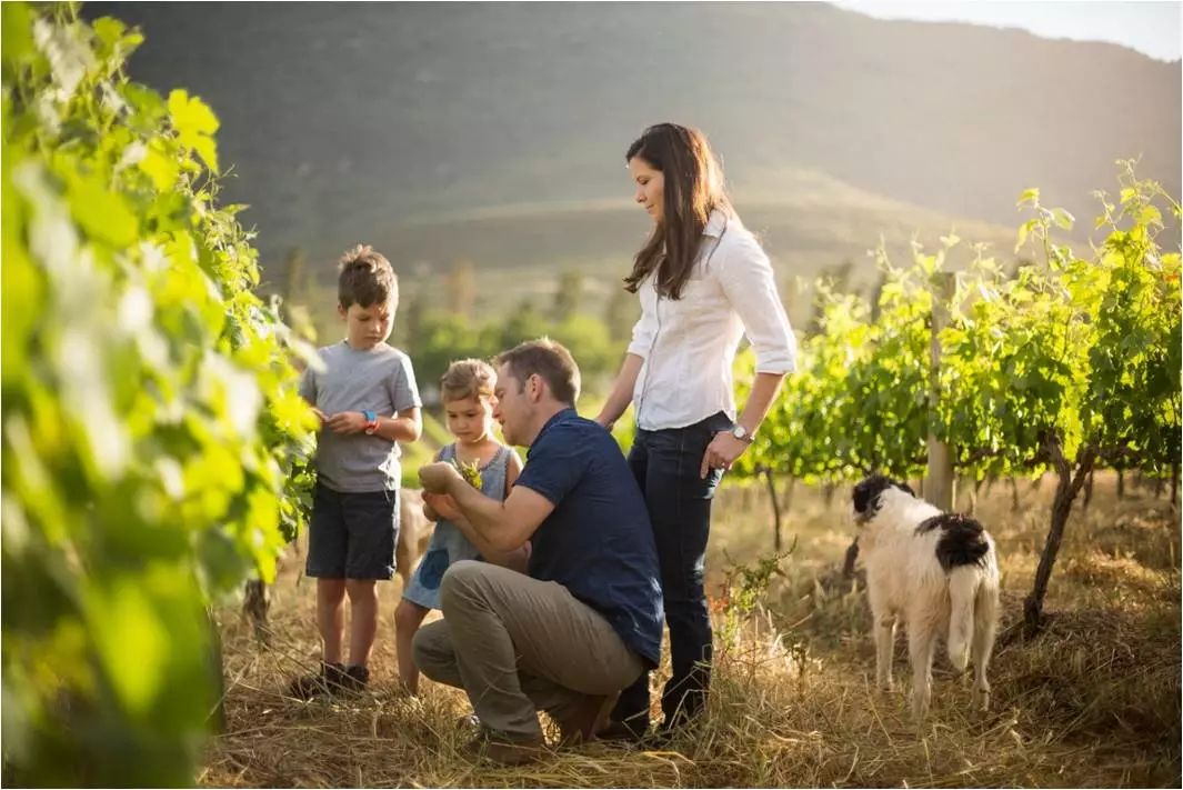 南非红酒最好的酒庄是哪个,南非红酒最好的酒庄排名