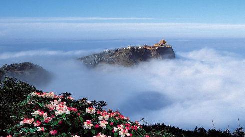 佛教四大名山普陀,佛教四大名山之一菩萨道场