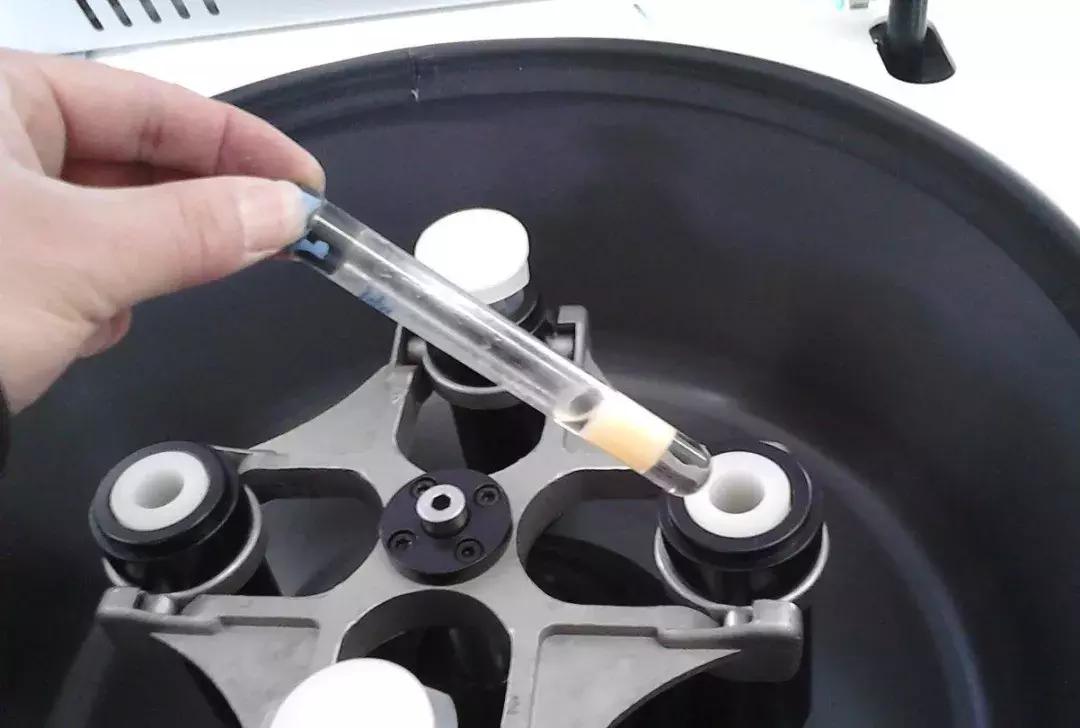 景甜倪妮同台2019年,倪妮景甜最新消息