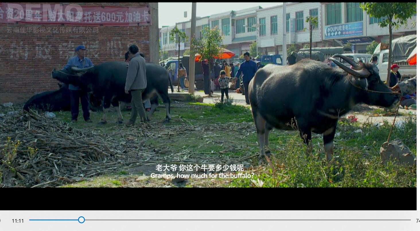 真实故事改编的洪水电影,真实故事改编电影1972