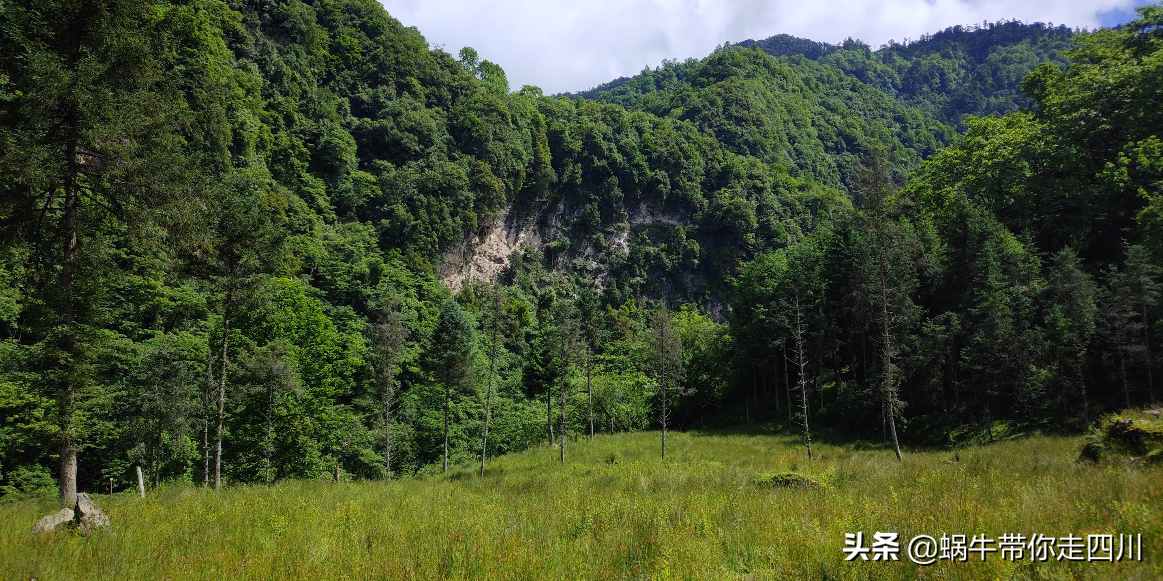 带小朋友出去看小动物,带小孩去海洋动物园